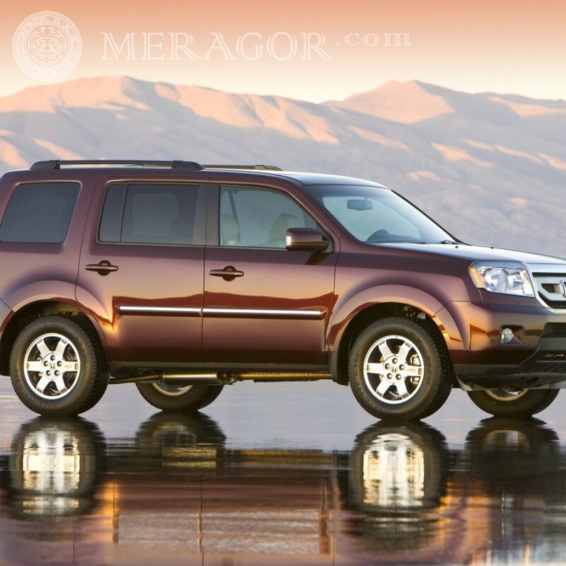 Free photo download on avatar for a guy Cars Transport