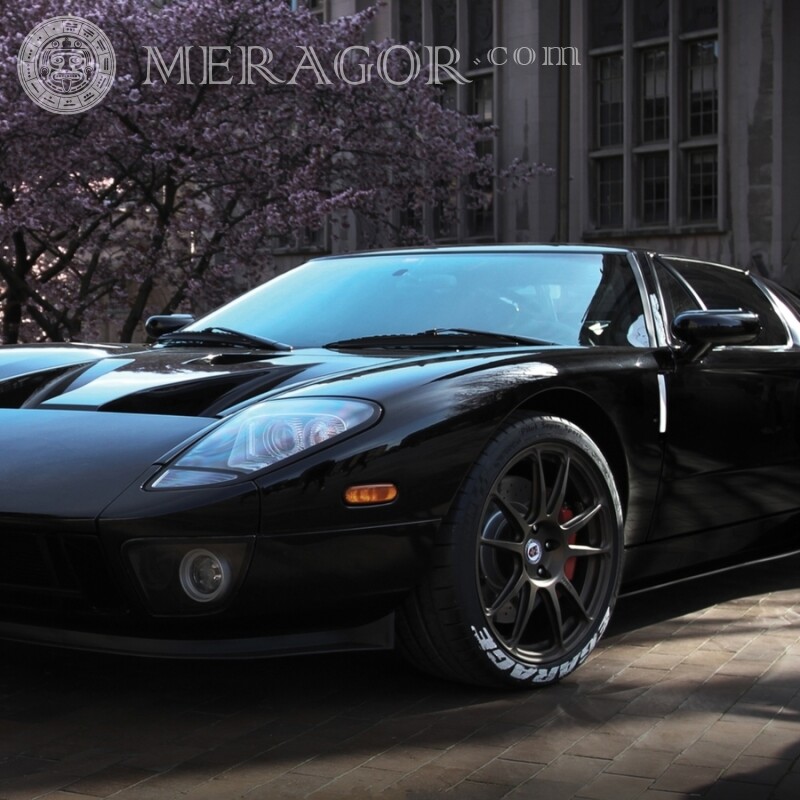Download for a guy a photo of a black car on an avatar Cars Transport