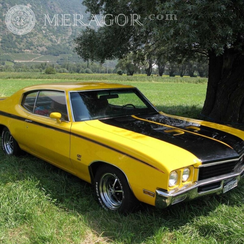 Gran foto de coche amarillo en un avatar para TikTok Autos Transporte