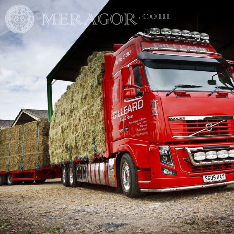 Excellent red Volvo tractor download a photo on the avatar for WatsApp Cars Transport
