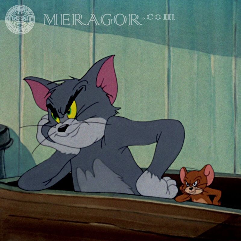 Tom y Jerry en avatar Caricaturas