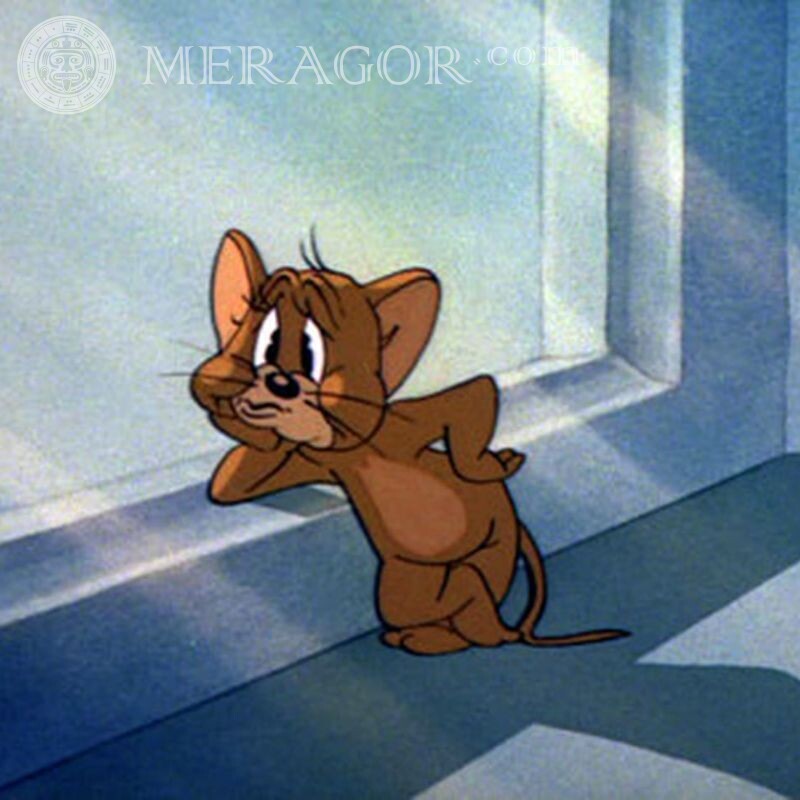 Jerry mouse sur avatar Dessin animé