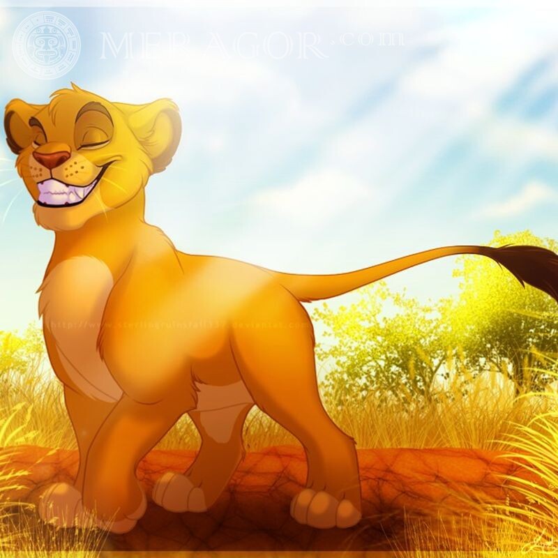 Simba du Roi Lion sur avatar Dessin animé Lions