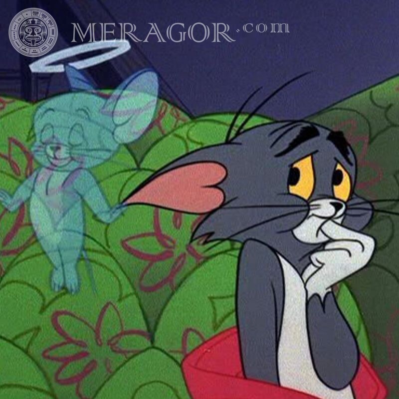 Tom e Jerry na capa Desenhos animados