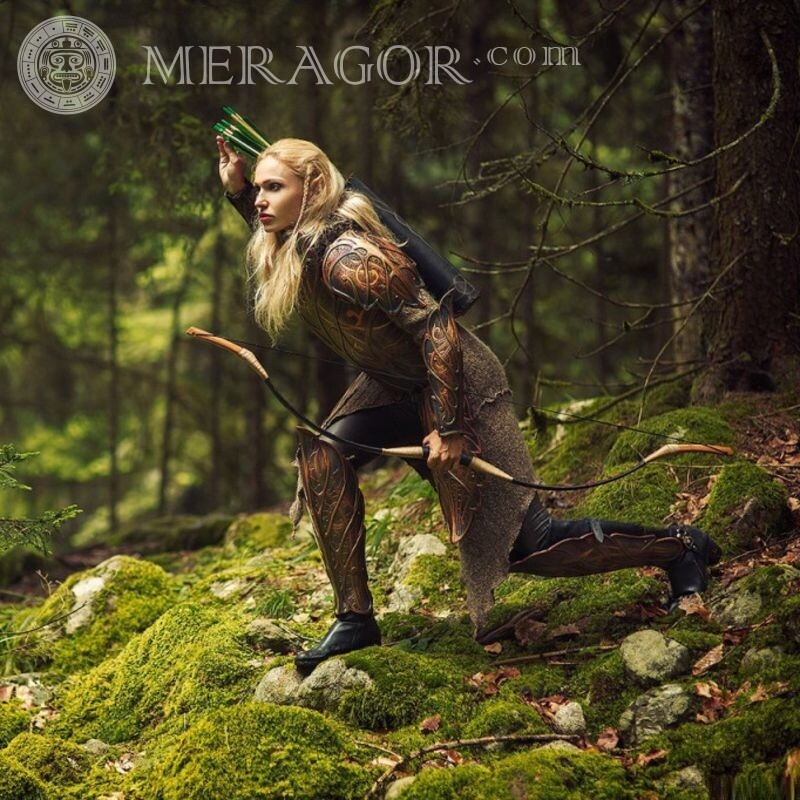 Cosplay Avatar With weapon Elves