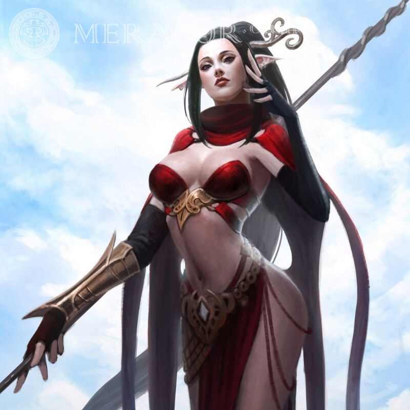 Imagem de elfo no avatar Os elfos