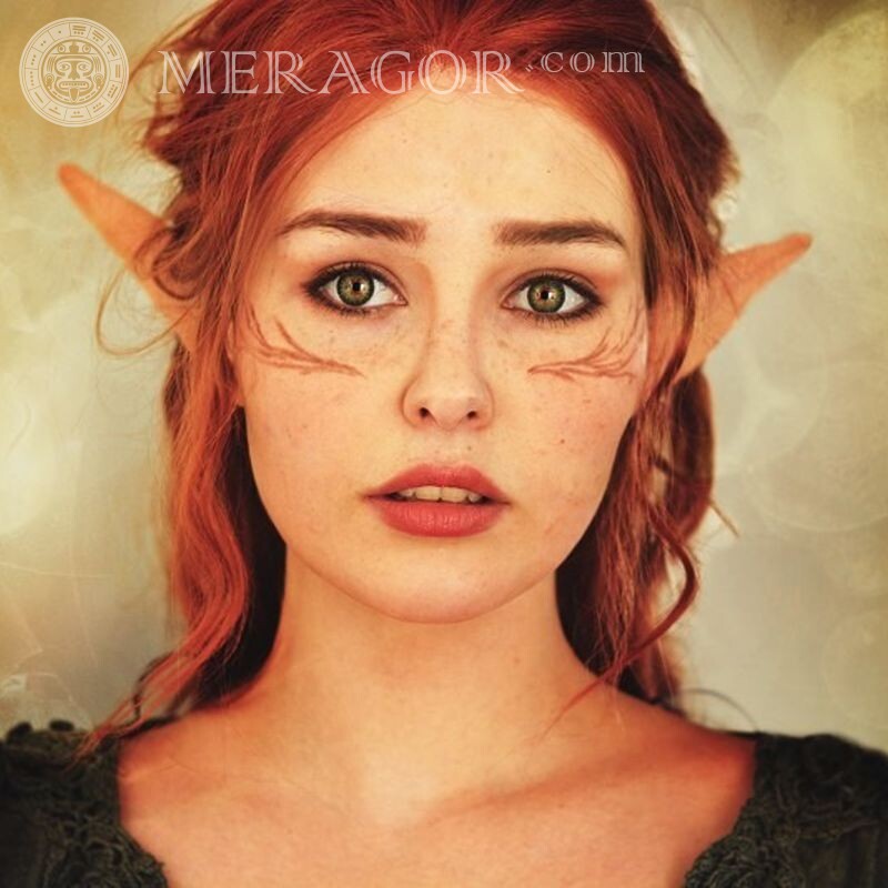 Elf girl with red hair for icon Elves