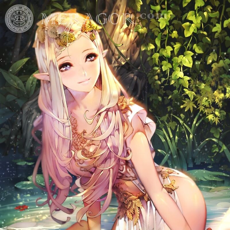Descargar imagen con elfo en avatar girl Anime, figura Elfos