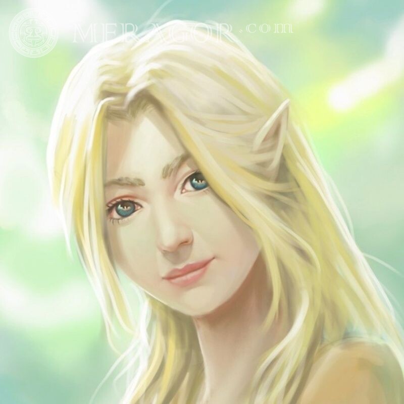 Elf face on avatar Elves