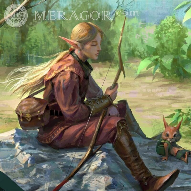 Baixar avatar com um elfo para uma garota Os elfos