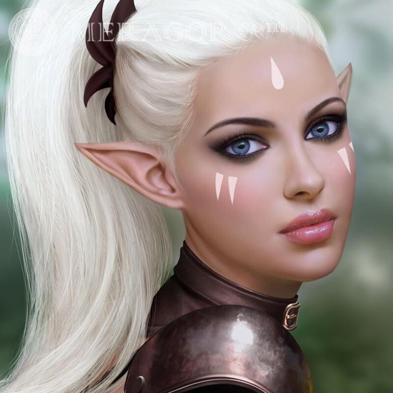 Linda elfa no avatar Os elfos