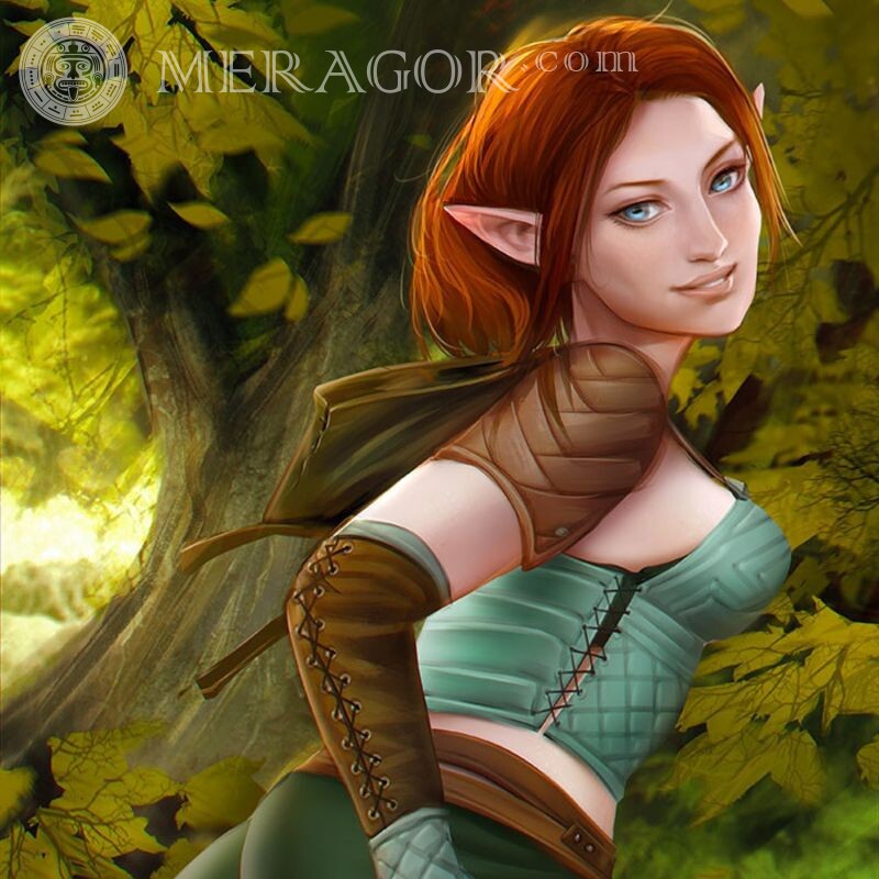 Hermosas portadas de duendes Elfos