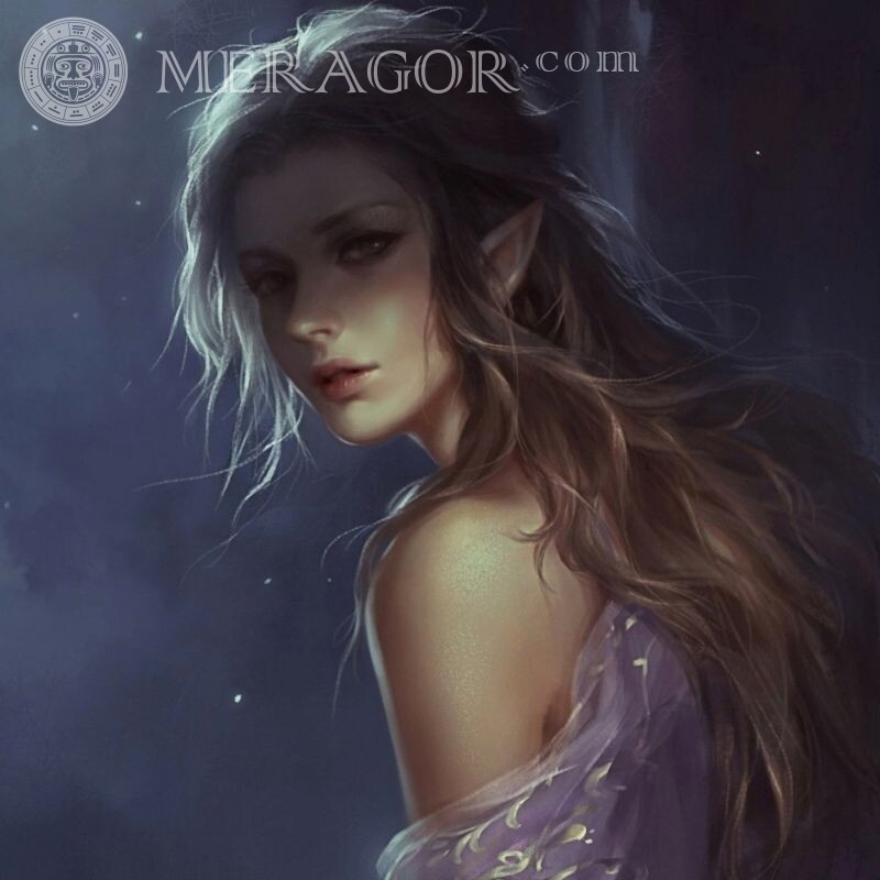 Descargar avatar con una hermosa elfa Elfos