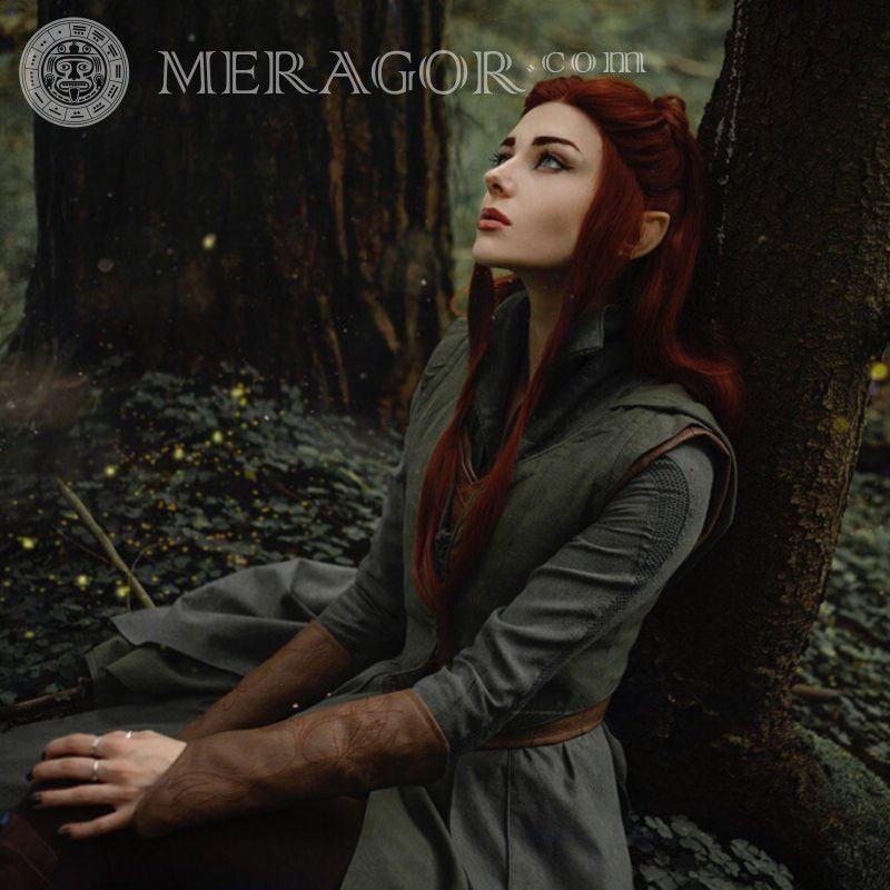 Photo of an elf girl in the forest Elves