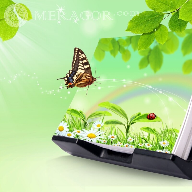 Картинка бабочки на аватарку Насекомые Бабочки