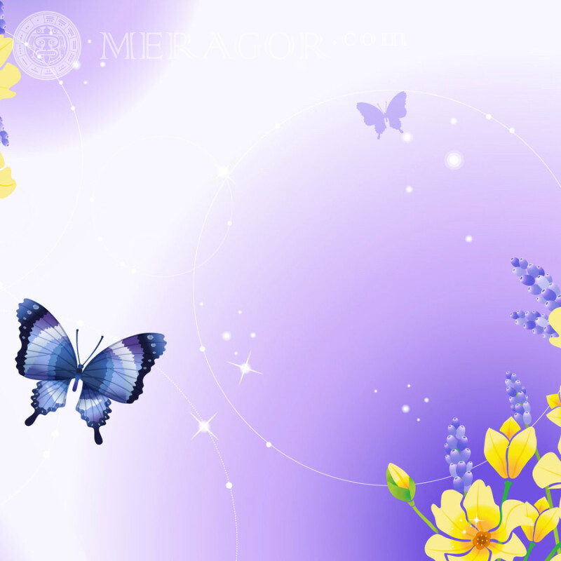 Background with butterfly Insects Butterflies