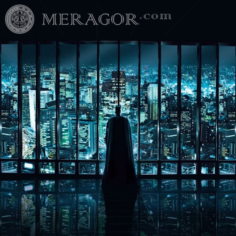 Batman avatar picture from the movie From films