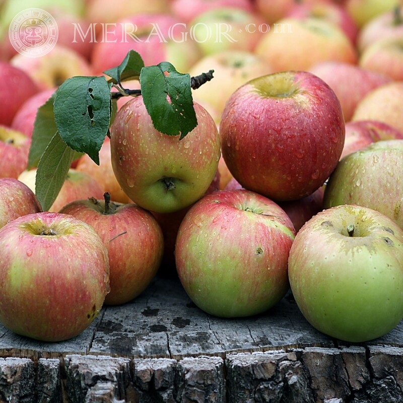 Foto von Äpfeln herunterladen Essen