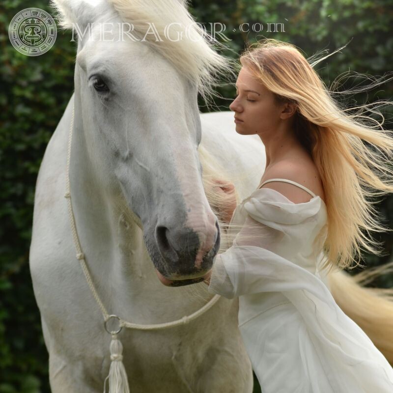 Красивое фото девушка с лошадью Лошади Девушки Русые
