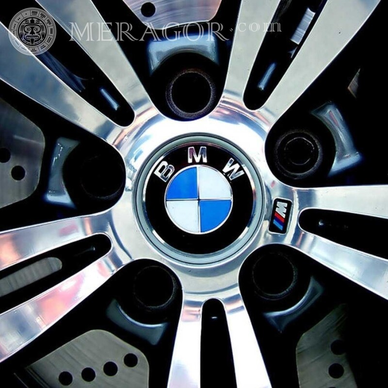 Laden Sie das BMW-Symbol auf den Avatar herunter Autoembleme Autos Logos