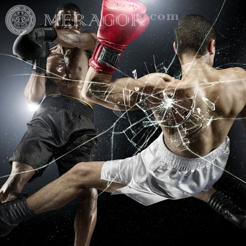 Pelea de boxeadores descargar en avatar Boxeo, UFS, MMA Deportivos
