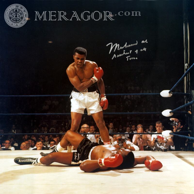 Foto de Muhammad Ali para foto de perfil Boxe, UFS, MMA Negros Celebridades