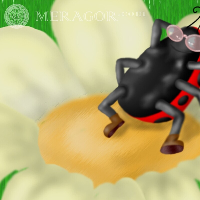 Божа корівка мультяшна картинка Комахи Мультфільм Смішні тварини