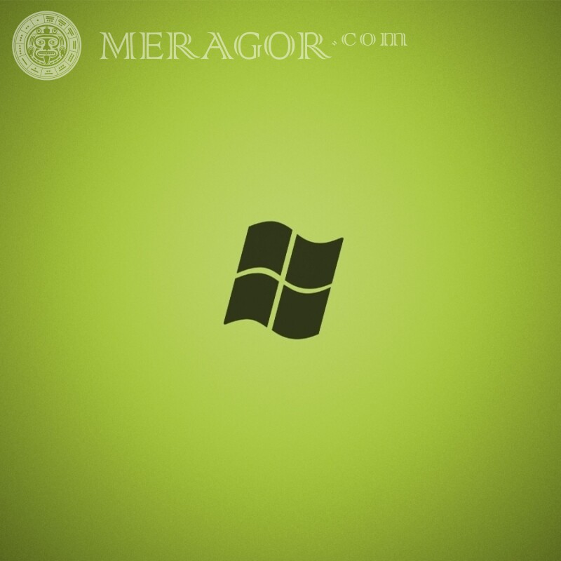 Download Windows logo on avatar Logos Mechanisms
