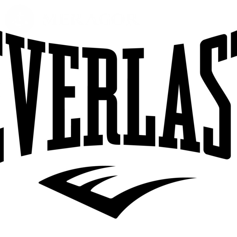 Logotipo da Everlast no avatar Logos