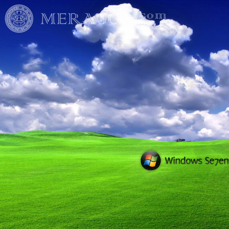 Логотип Windows на зеленой траве на аву Логотипы Техника