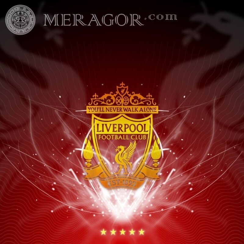 Liverpool Football Club Logo auf Avatar herunterladen Club-Embleme Sport Logos