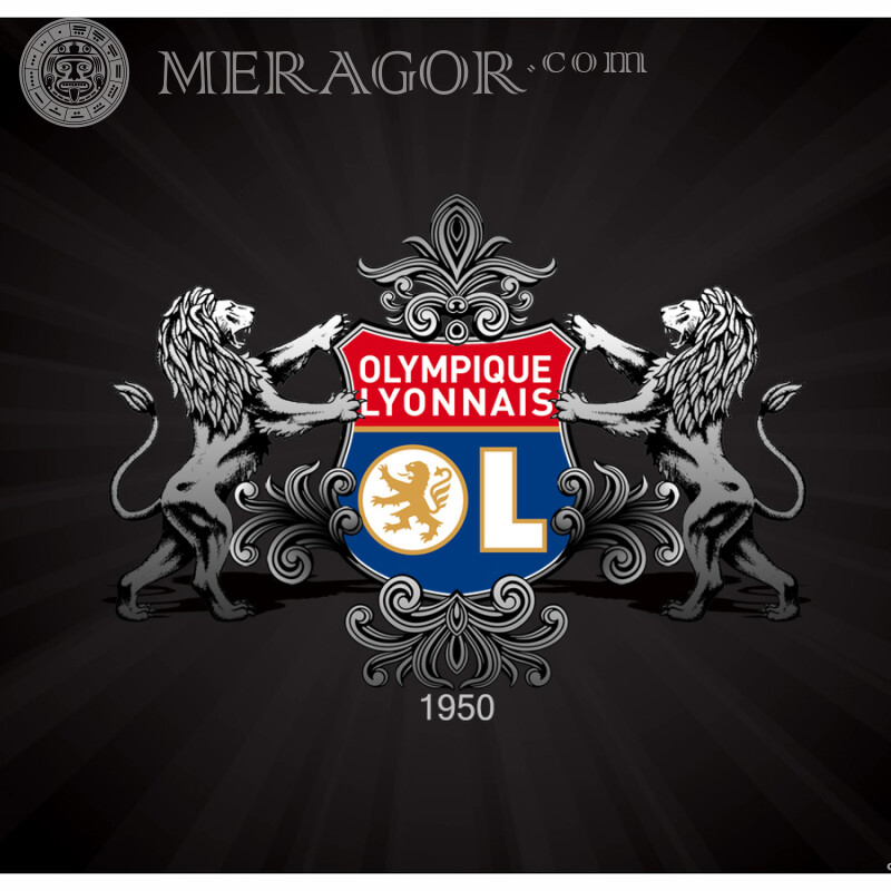 Логотип Olympique Lyonnais на аватарку Емблеми клубів Спорт Логотипи