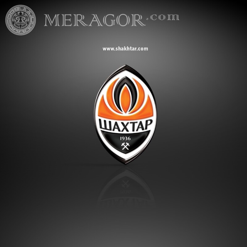 FC Shakhtar Logo auf dem Profilbild Club-Embleme Sport Logos