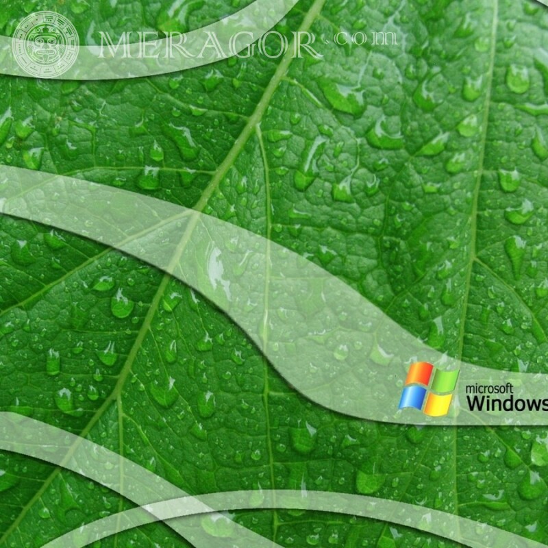Windows эмблема на аву Logos Technique