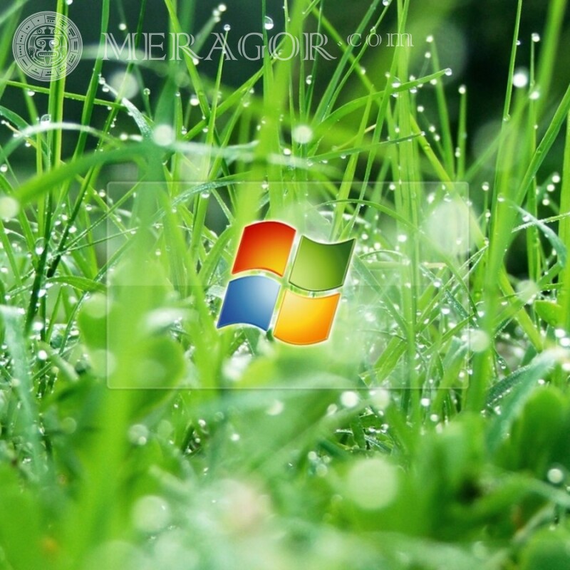 Windows логотип в траве на аву Логотипы Техника