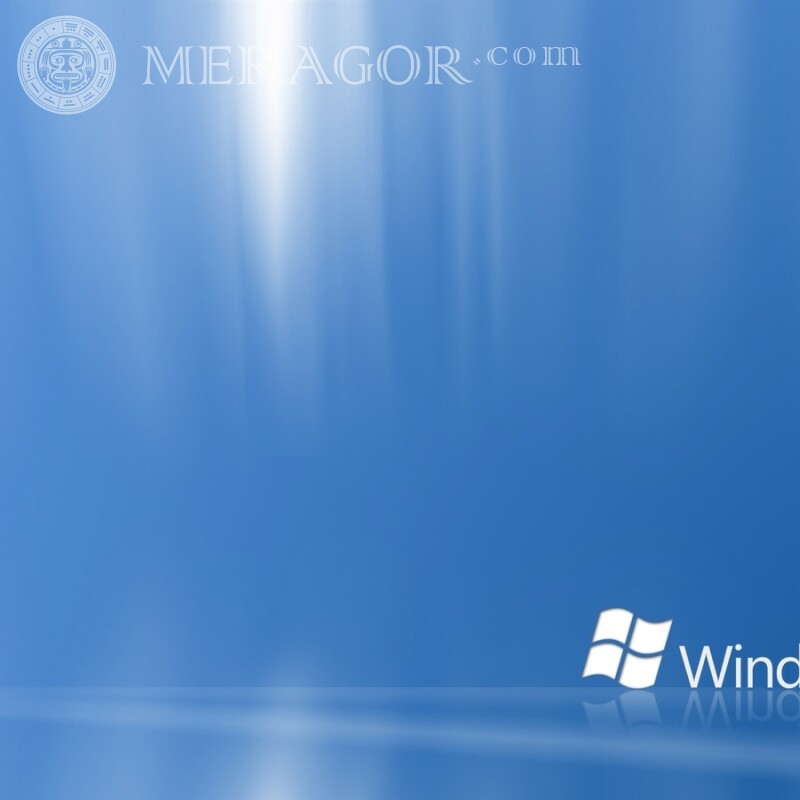Icône Windows sur avatar Logos Technique