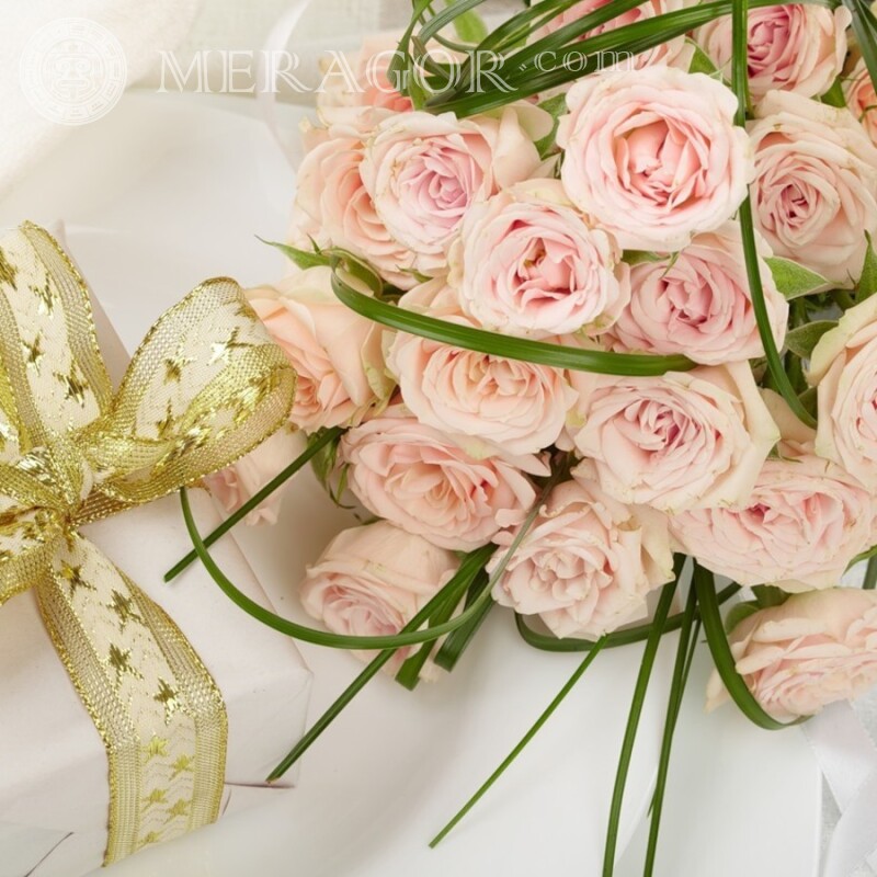 A bouquet of roses for your profile picture download Holidays Flowers
