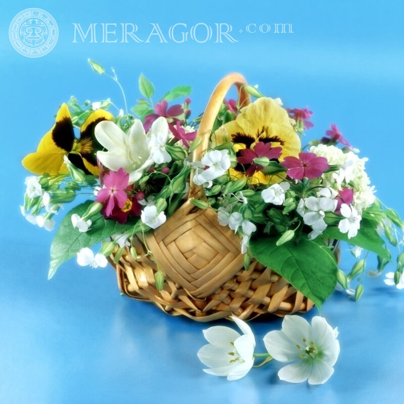 Bouquet for icon Holidays Flowers