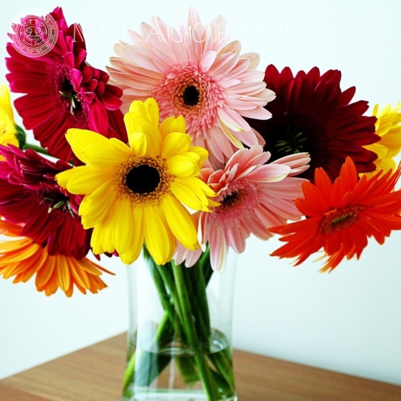 Bouquet de fleurs pour téléchargement d'avatar Fêtes Fleur