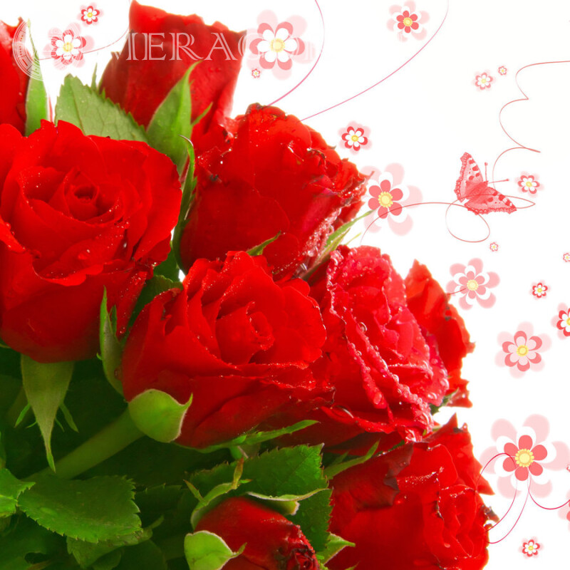 Rotes Blumenstraußfoto Feierzeit Blumen