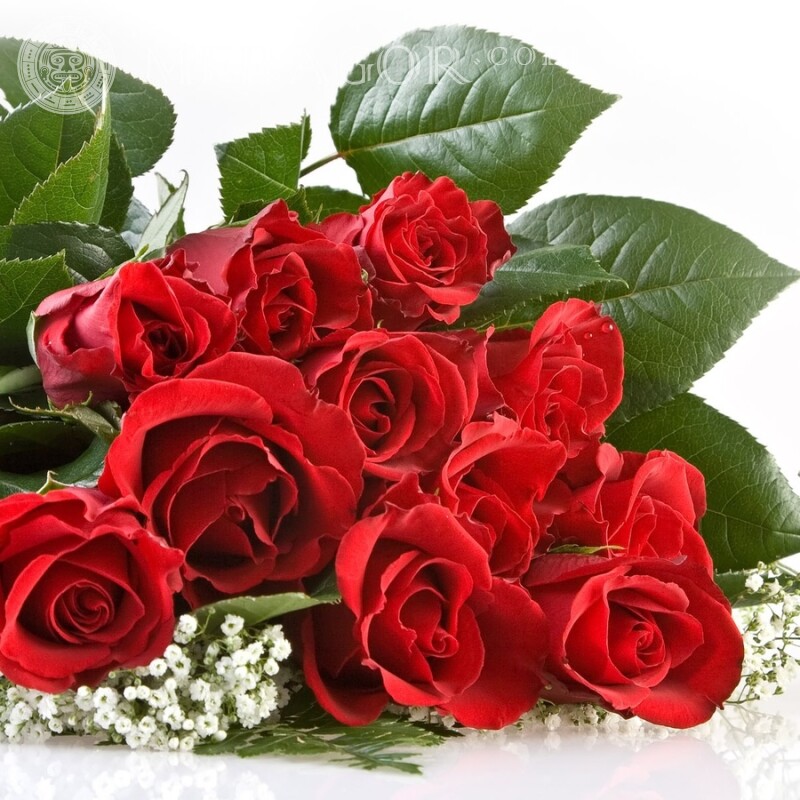 Bouquet de roses rouges Fêtes Fleur