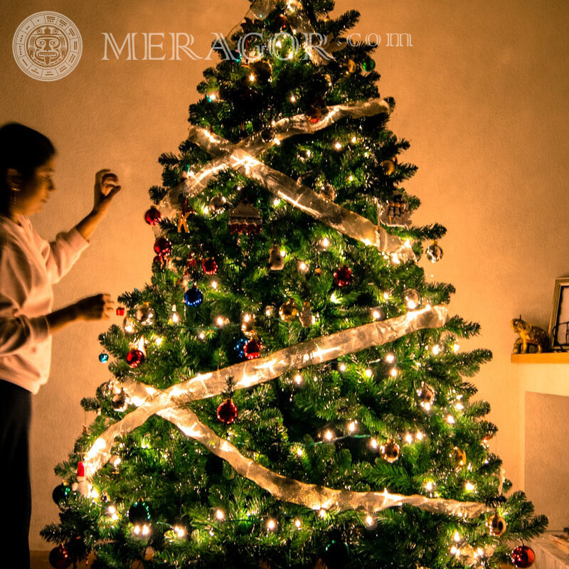 Télécharger l'avatar de l'arbre de Noël | 1 de Nouvel an