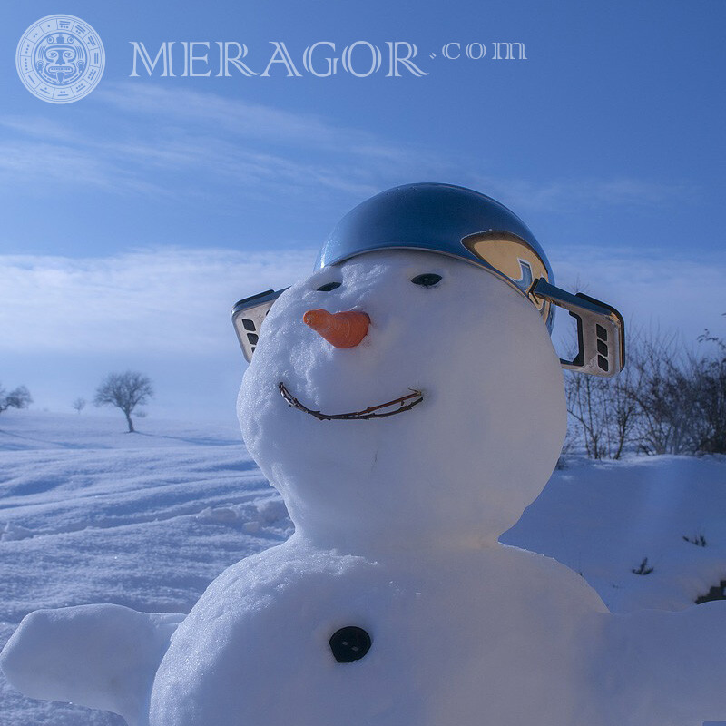 Descarga de muñeco de nieve de avatar de navidad Para el año nuevo