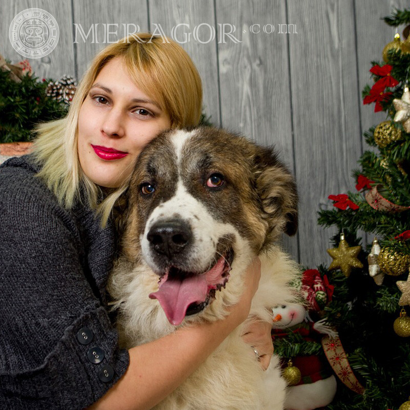 Große Neujahrsbilder Weihnachten Avatare Hunde