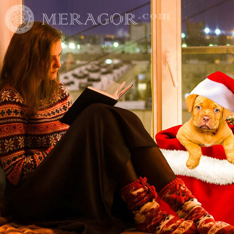 Neujahrsavatare für Mädchen sind traurig Weihnachten Avatare Hunde Braunhaarige