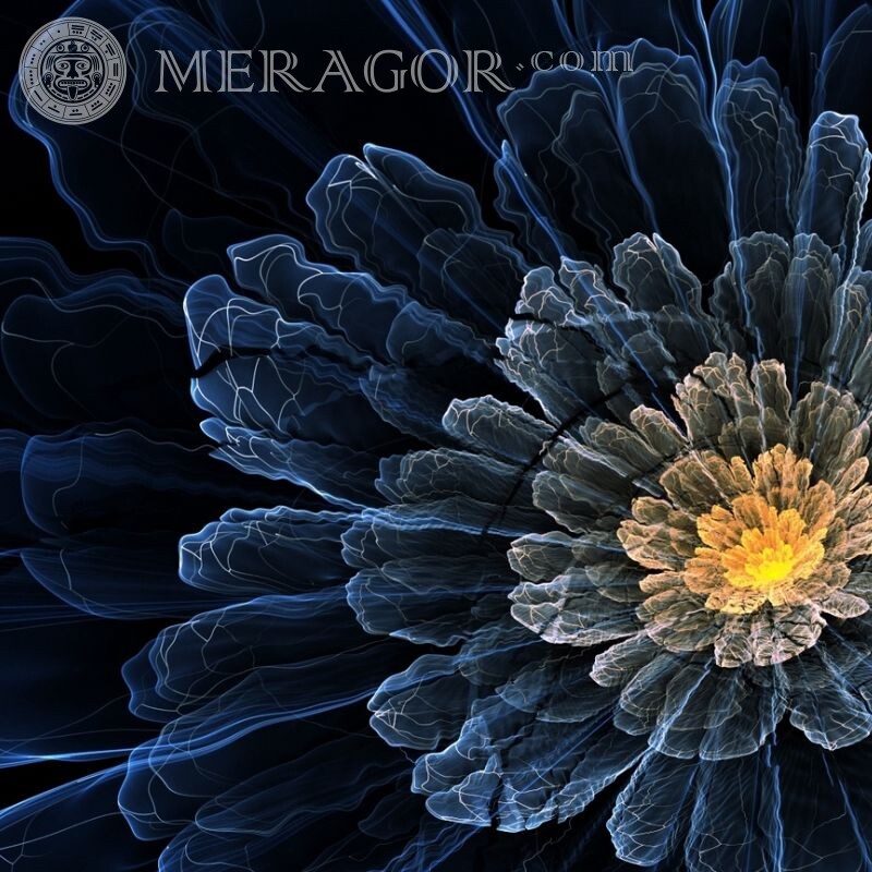 Ungewöhnliches Blumenbild für Avatar Blumen