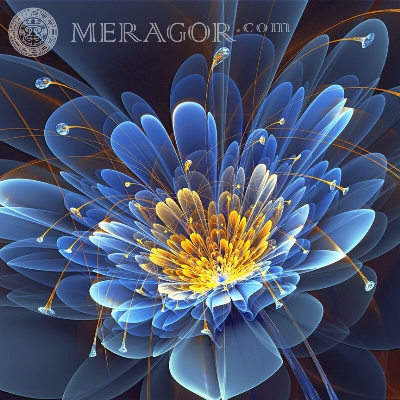 Download flower picture for icon Flowers