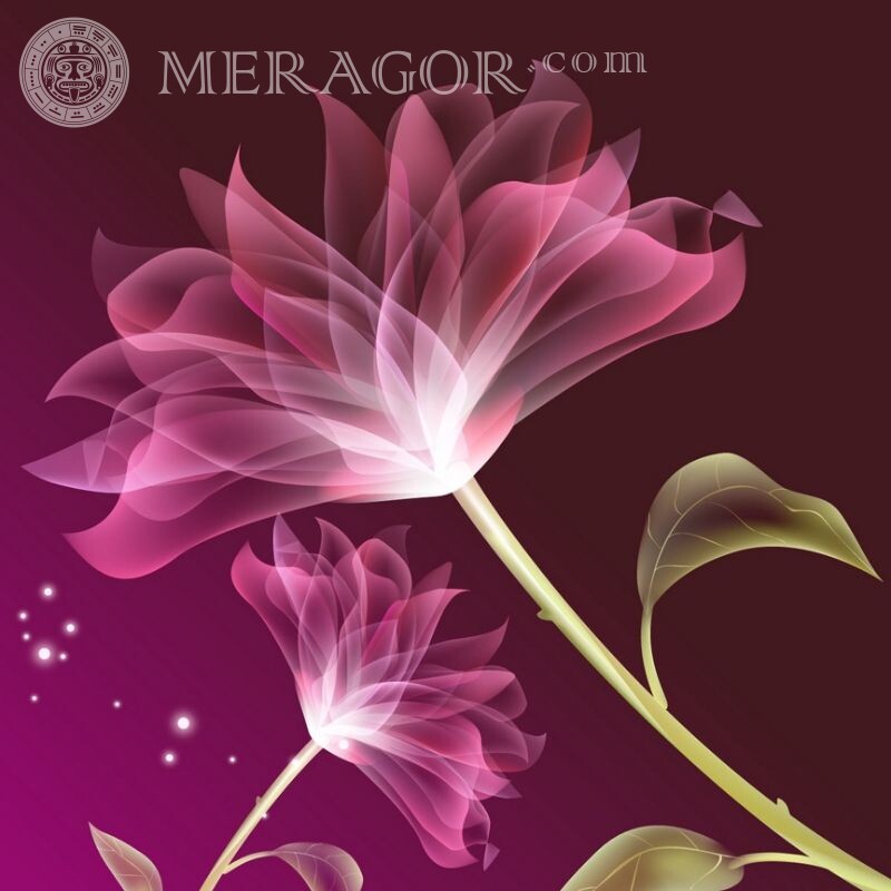 Download a beautiful drawing of a flower Flowers