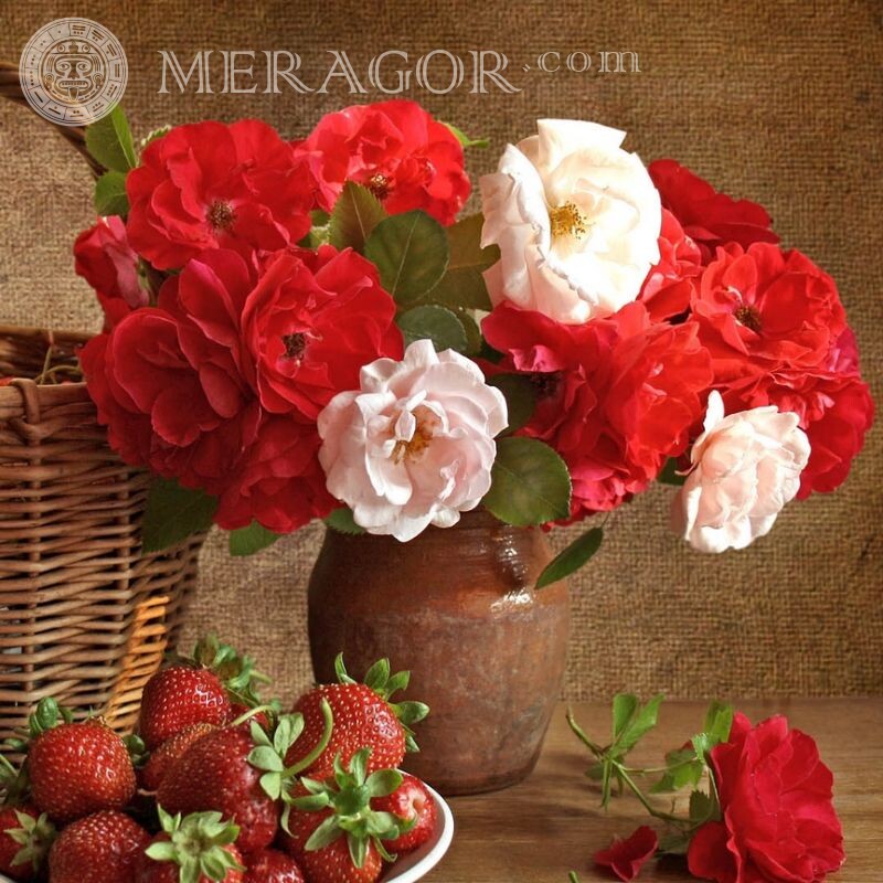 Foto de flores e frutas para avatar Cores
