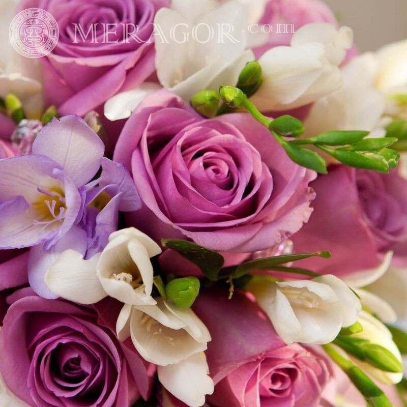 Букет роз на аватар Цветы